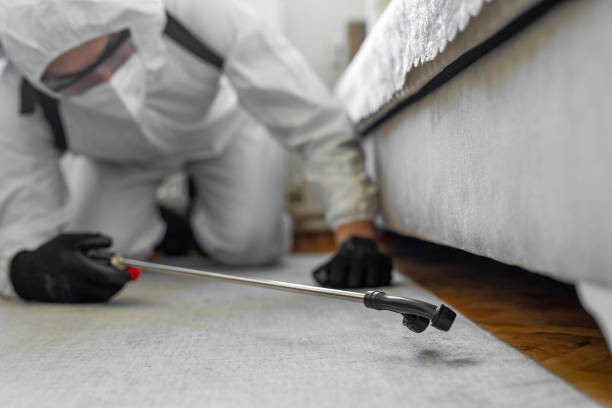 Professional Termite Control technician working in Jal, NM