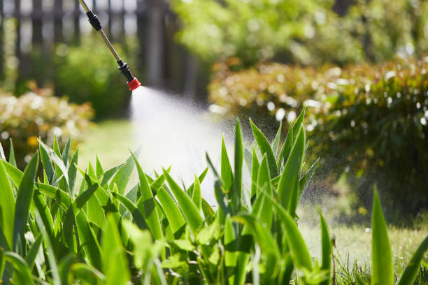 24/7 Emergency Termite Control experts in Jal, NM